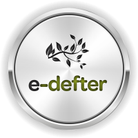 e-Defter